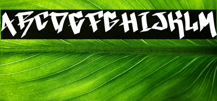 Xmas Festive Demo Example 2