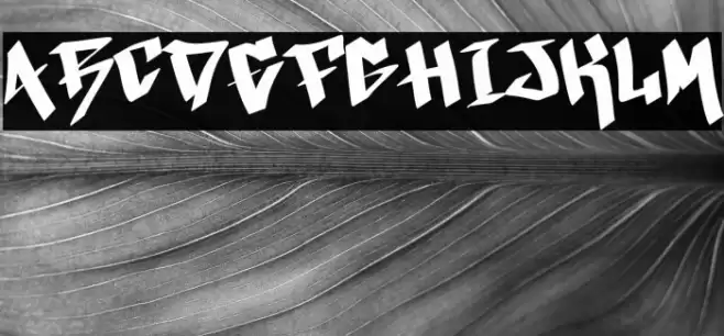 Xmas Festive Demo Caratteri examples