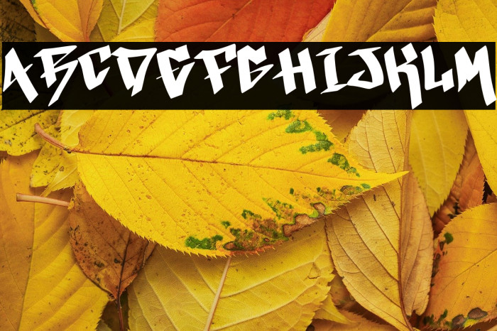 Xmas Festive Demo Example 3