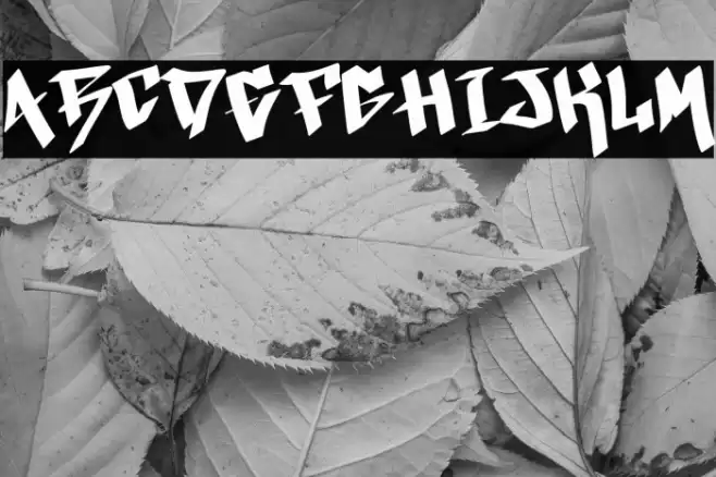 Xmas Festive Demo Caratteri examples