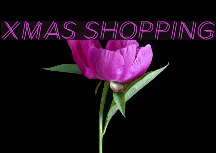 Xmas Shopping Font examples