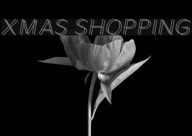 Xmas Shopping Font examples