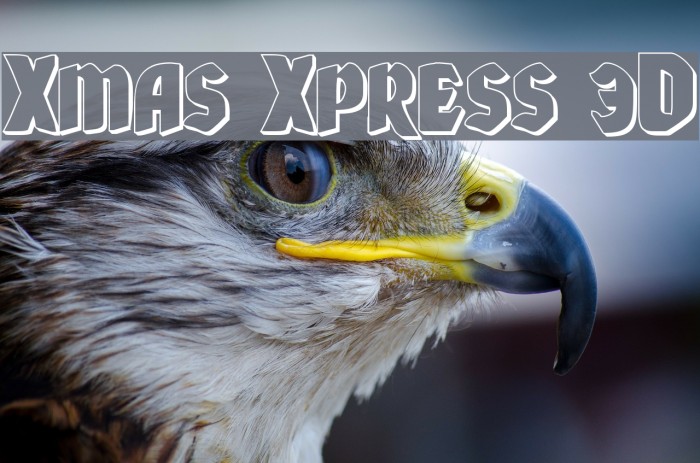 Xmas Xpress 3D Font examples