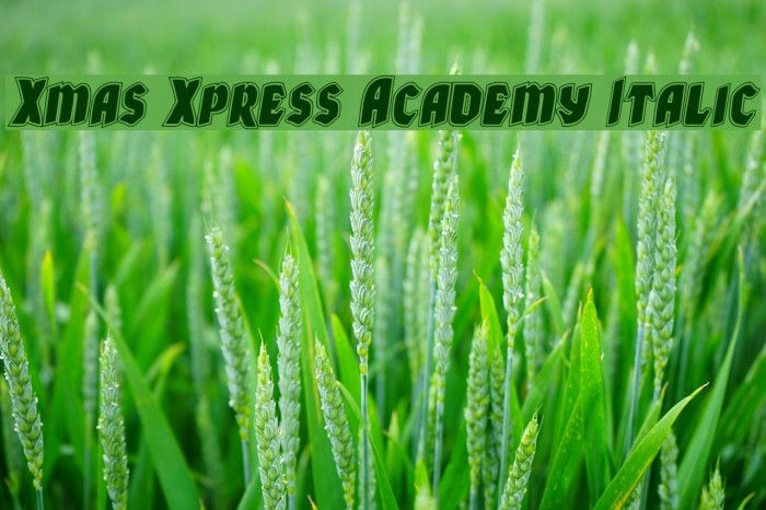 Xmas Xpress Academy Italic Font examples