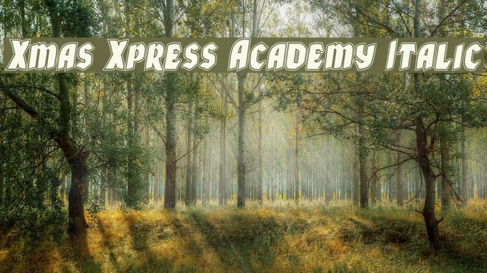 Xmas Xpress Academy Italic Font examples