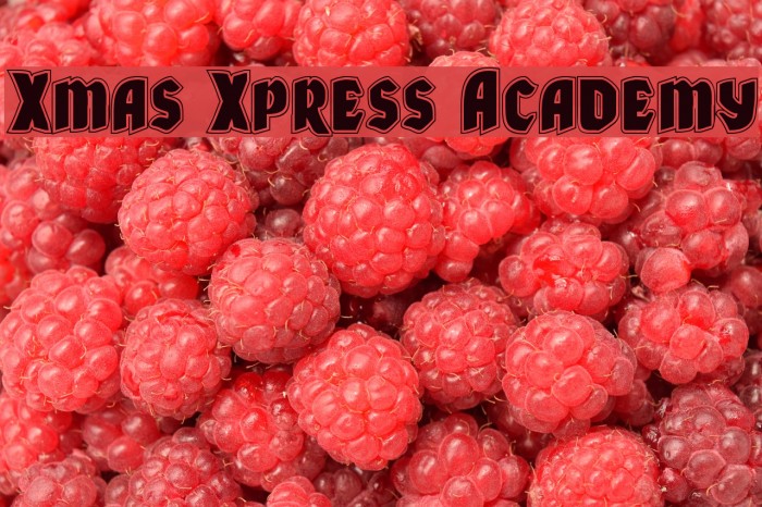 Xmas Xpress Academy Font examples