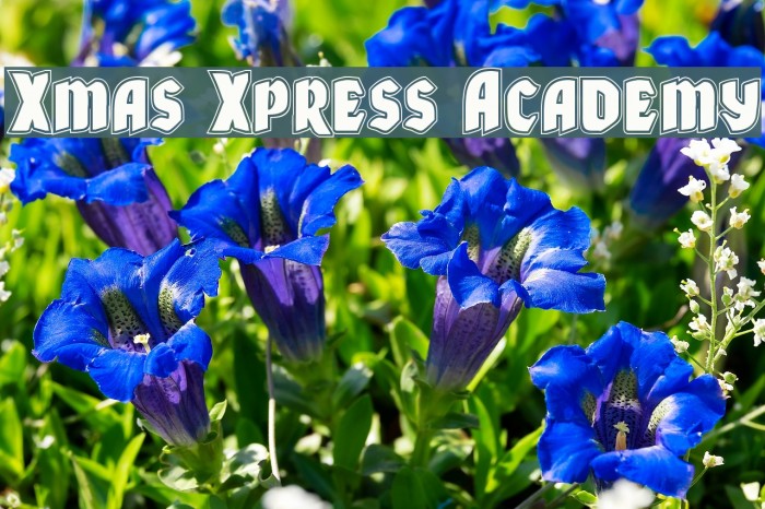Xmas Xpress Academy Font examples