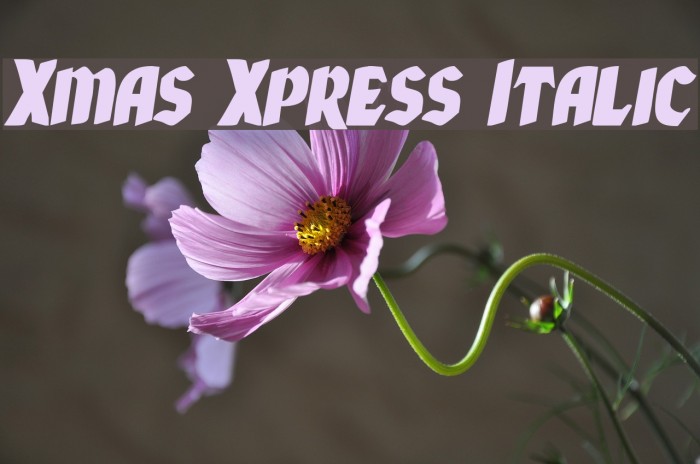 Xmas Xpress Italic Example 2