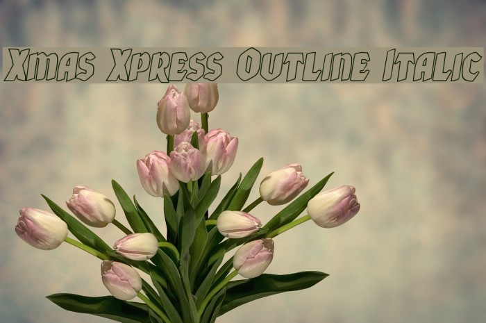 Xmas Xpress Outline Italic Font examples