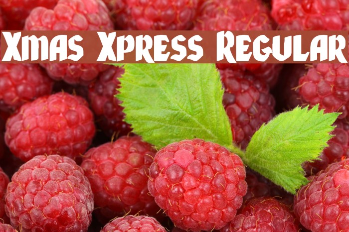 Xmas Xpress Regular Example 3