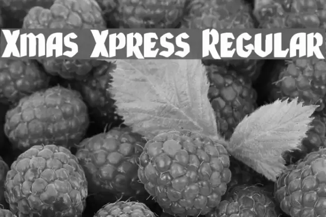 Xmas Xpress Regular Font examples