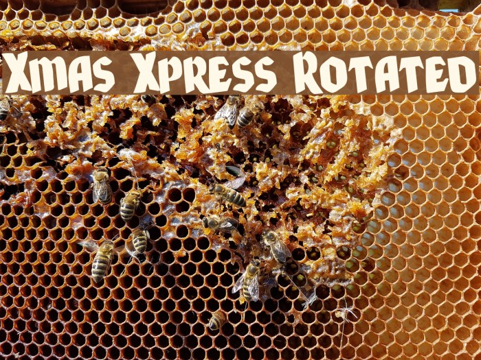 Xmas Xpress Rotated Example 3