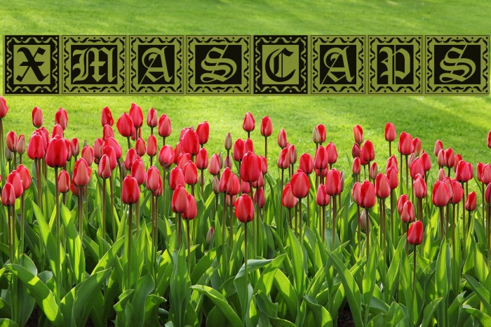 XmasCaps Font examples