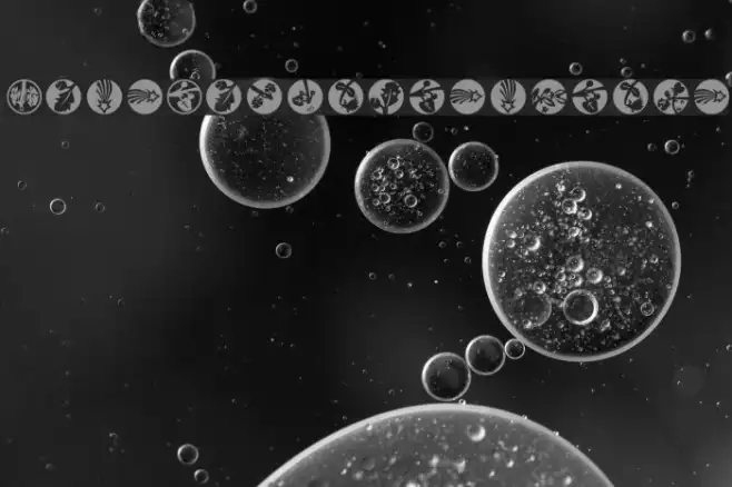 XmasImprovisations Example 1