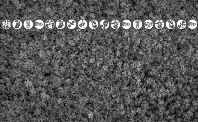 XmasImprovisations Example 3