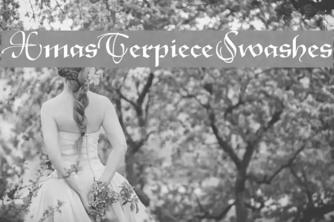 XmasTerpieceSwashes Font examples