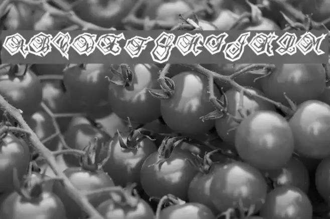 xmess Font examples