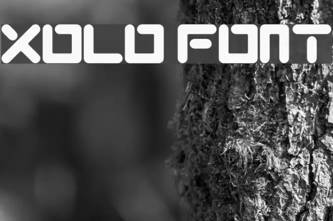 XOLO Font examples