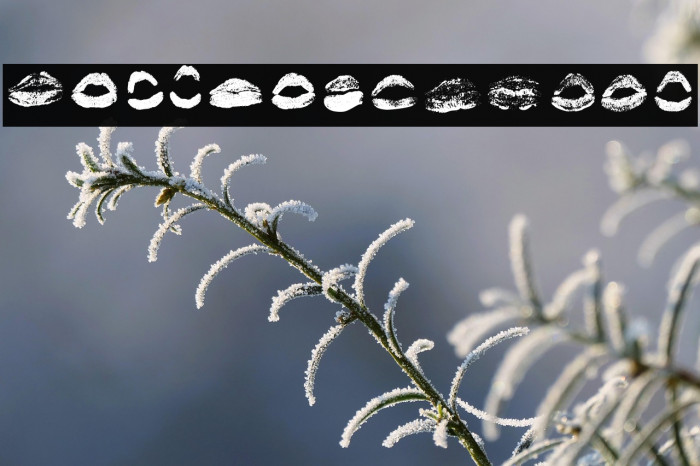 XOXO Misti Regular Example 1