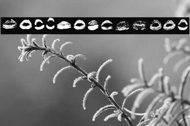 XOXO Misti Regular Font examples