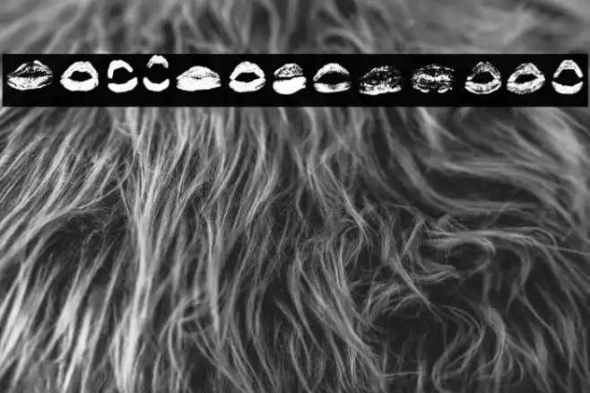 XOXO Misti Regular Font examples