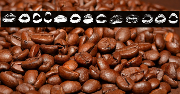 XOXO Misti Regular Example 3