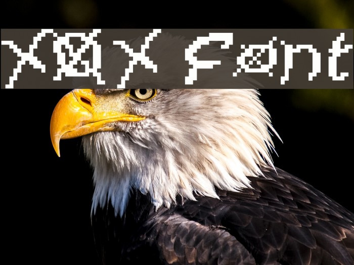 XOX Font examples