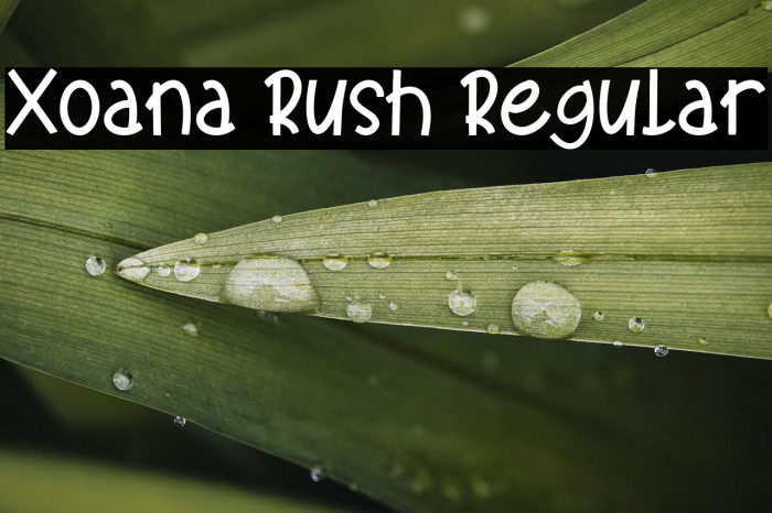 Xoana Rush Regular Example 2