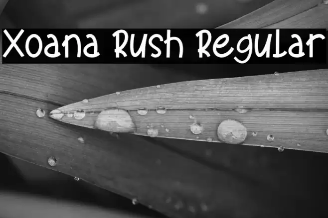 Xoana Rush Regular Font examples