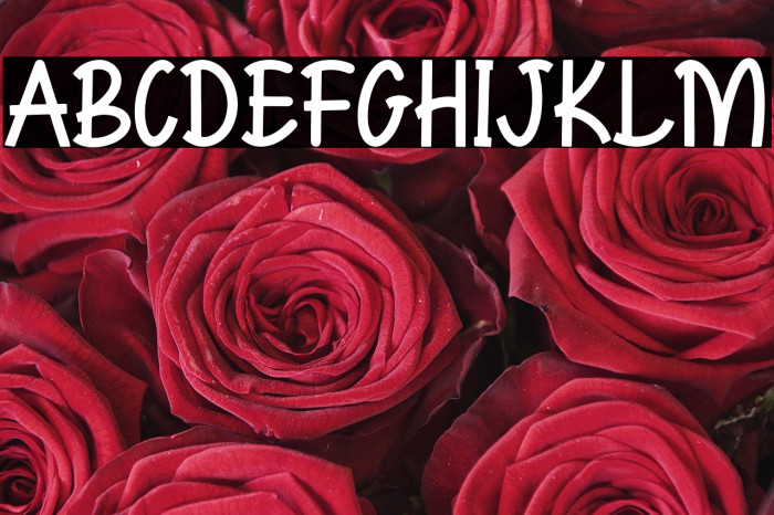 XoanaRush-Regular Example 1