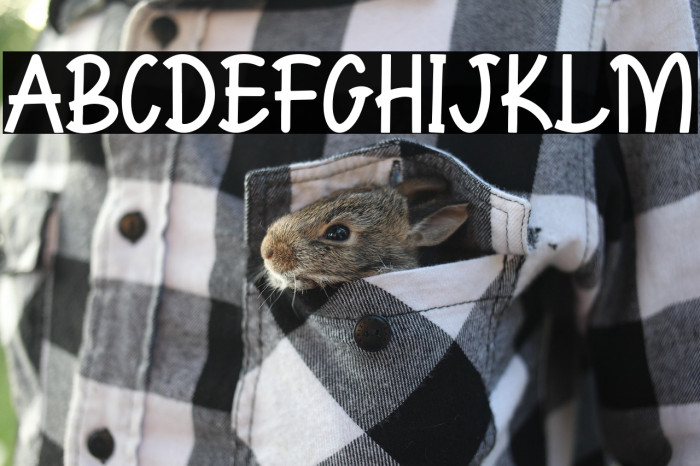 XoanaRush-Regular Example 3