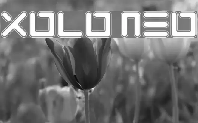 Xolo Neo Font examples