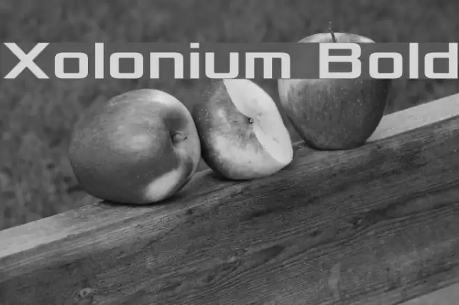Xolonium Bold Font examples