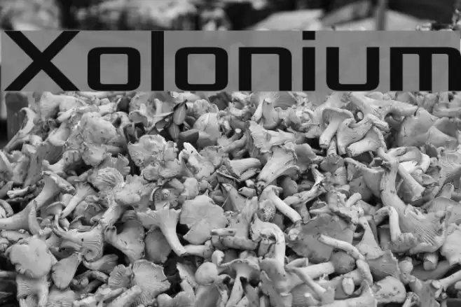 Xolonium Font examples