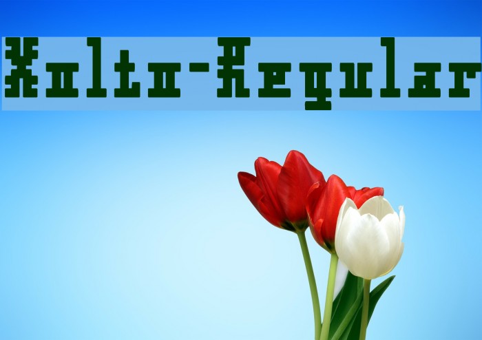 Xolto-Regular Example 1