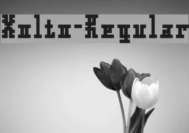 Xolto-Regular Font examples