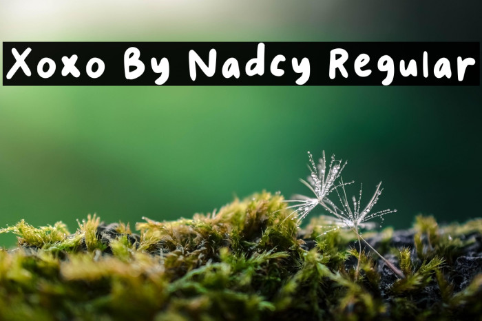 Xoxo By Nadcy Regular Example 3