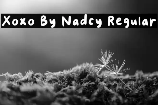 Xoxo By Nadcy Regular خط examples