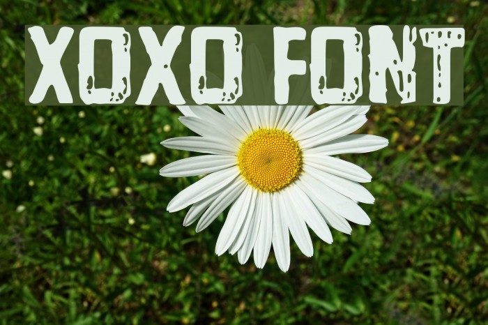 Xoxo Font examples