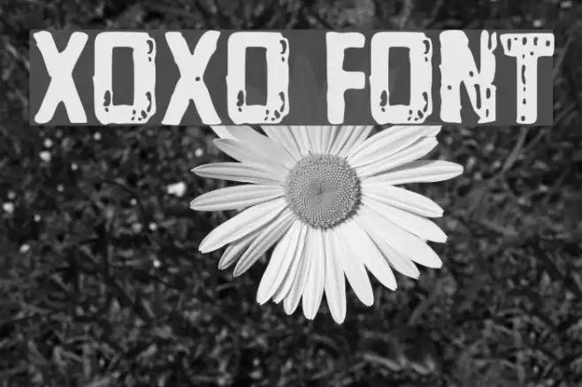 Xoxo Example 2