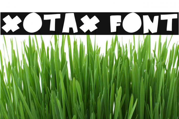 xotax Font examples