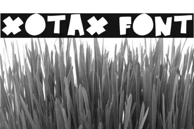 xotax Example 1