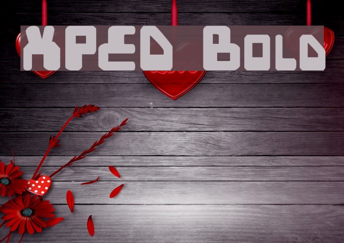 XPED Bold Font examples