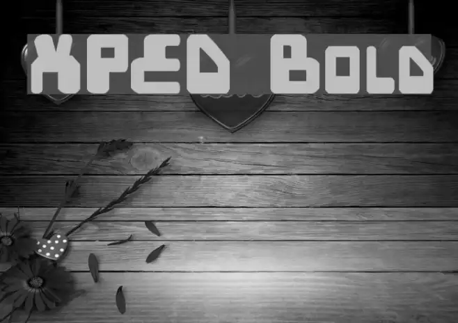 XPED Bold Example 1