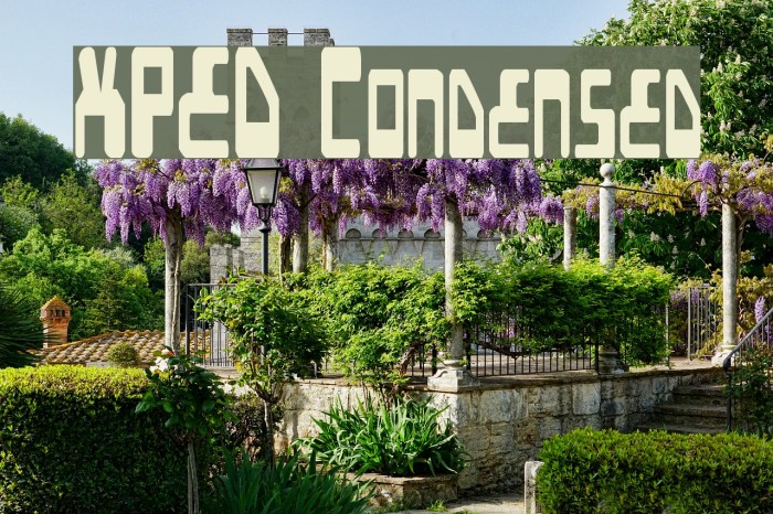 XPED Condensed Example 3