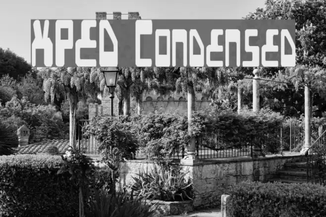 XPED Condensed Font examples