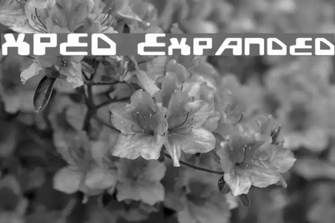 XPED Expanded Fonte examples