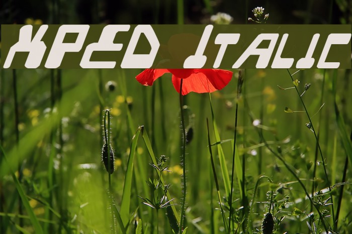 XPED Italic Font examples