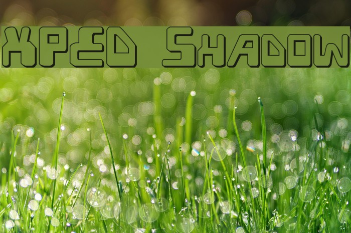 XPED Shadow Font examples