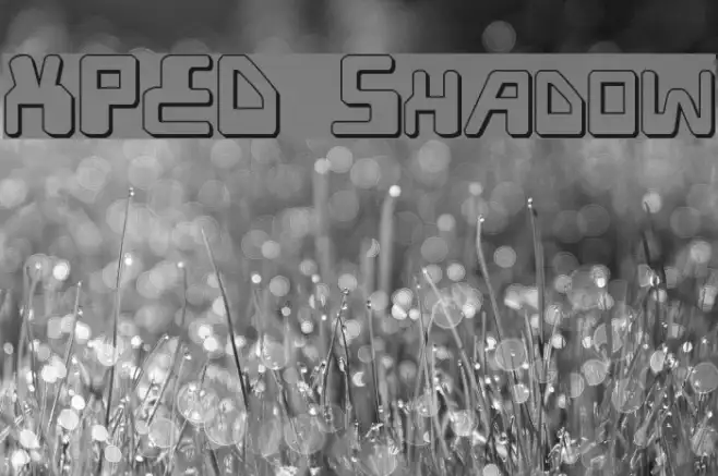 XPED Shadow Example 1